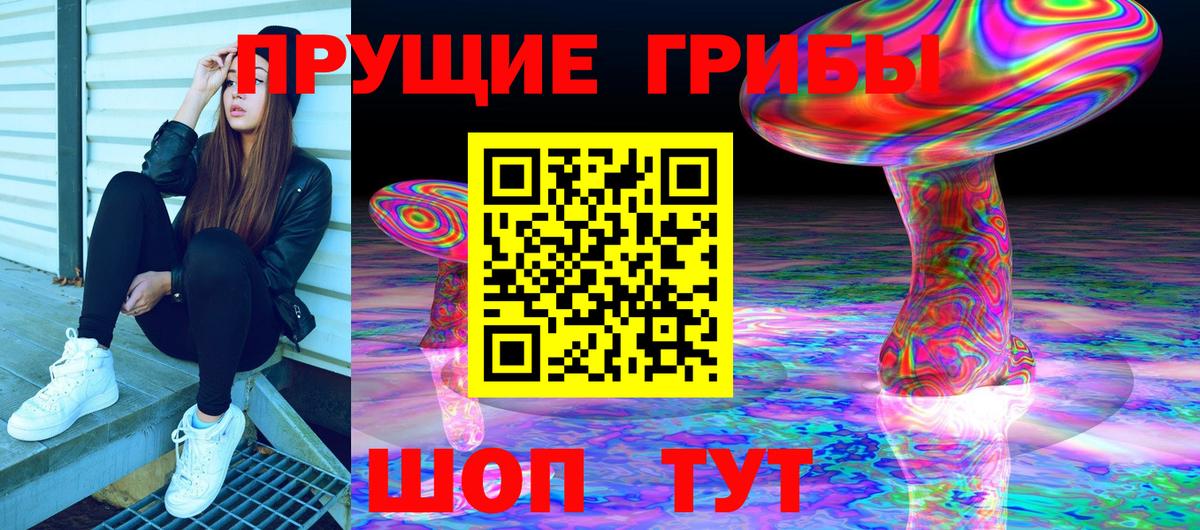Кушва  Псилоцибиновые грибы Psilocybe  Вход с VPN 